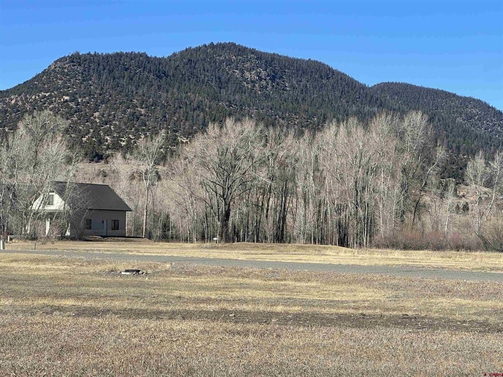Single Family - 160 Riverside Court, South Fork, CO