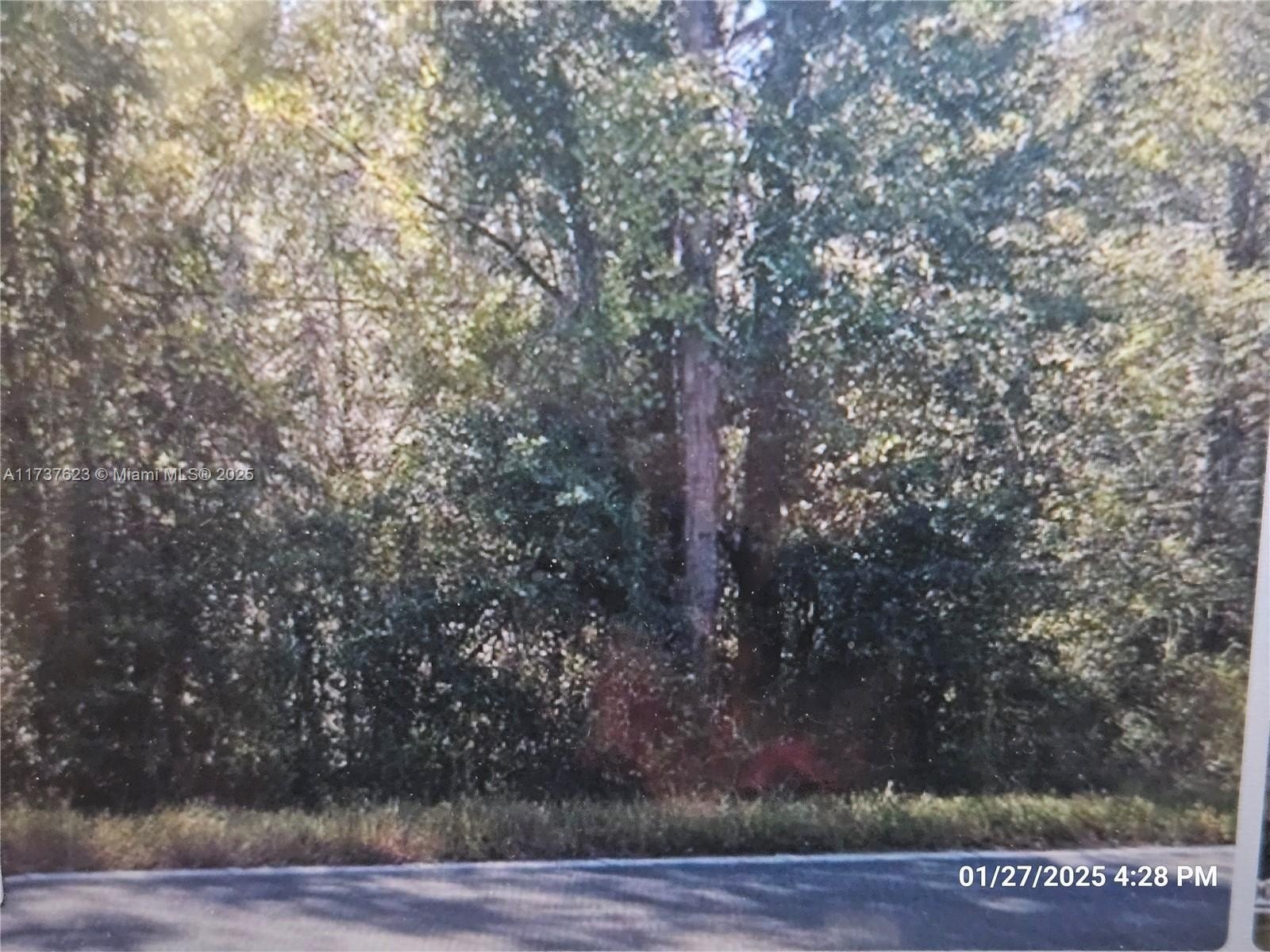 Other - 1142 County RD 20A, Other City - In The State Of Florida, FL
