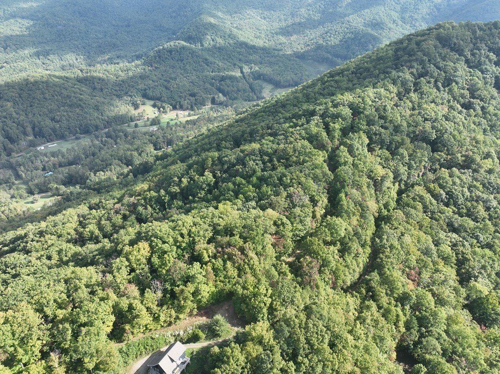 Other - 8-2-10-2 Tree Top Drive, Hayesville, NC