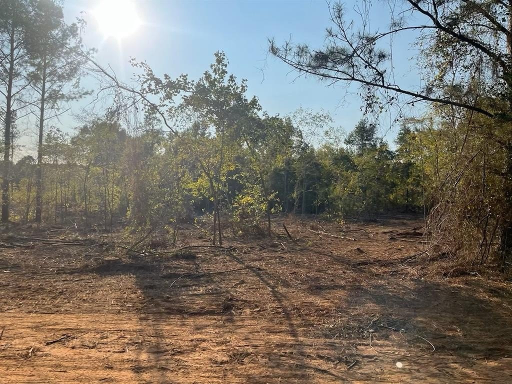 Plots and Land - 5 Lake Road, Plain Dealing, LA