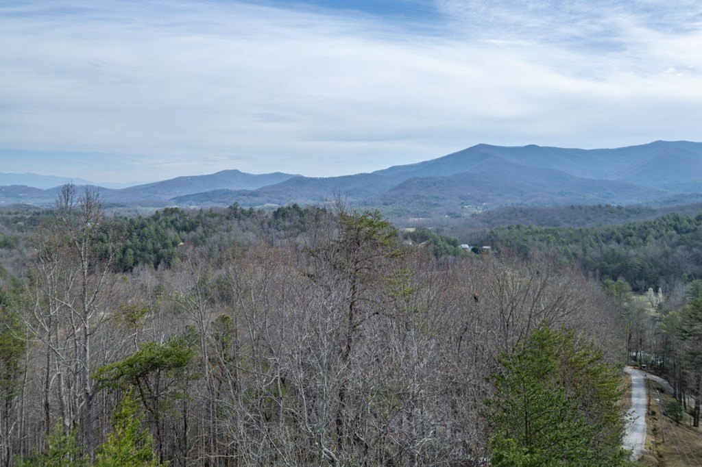Other - Lot 19a Stephens Road, Blairsville, GA