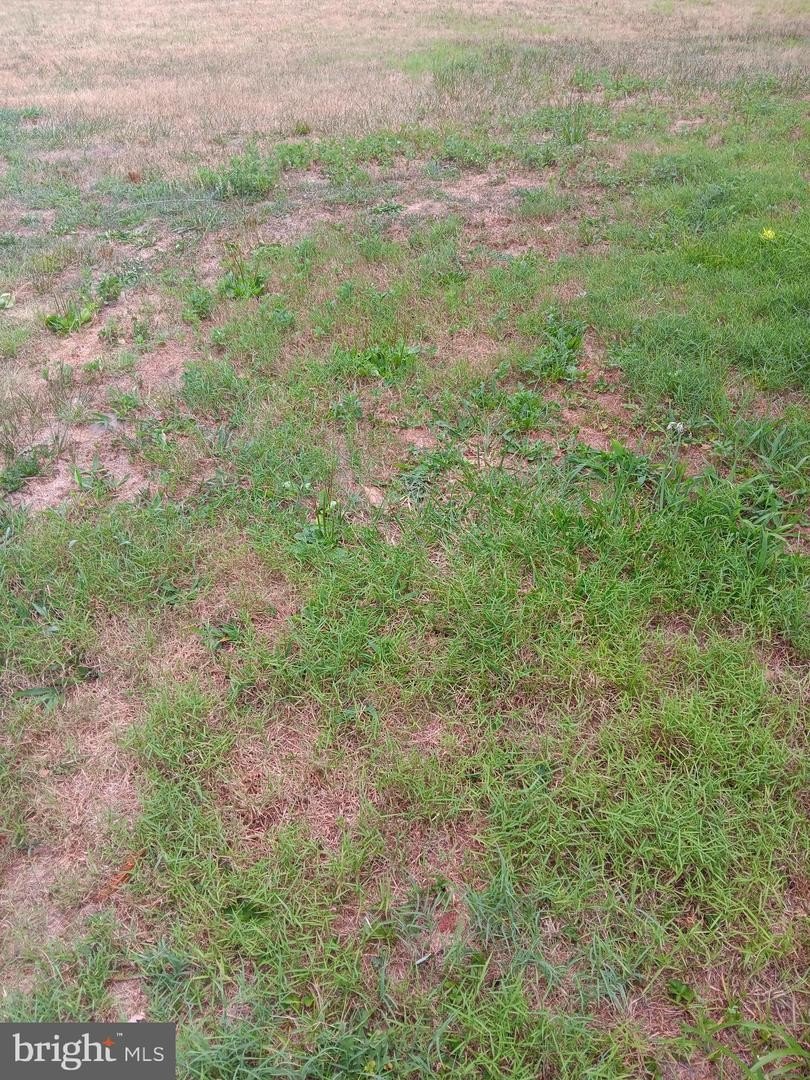 Plots and Land - 207 MAIN ST, HURLOCK, MD