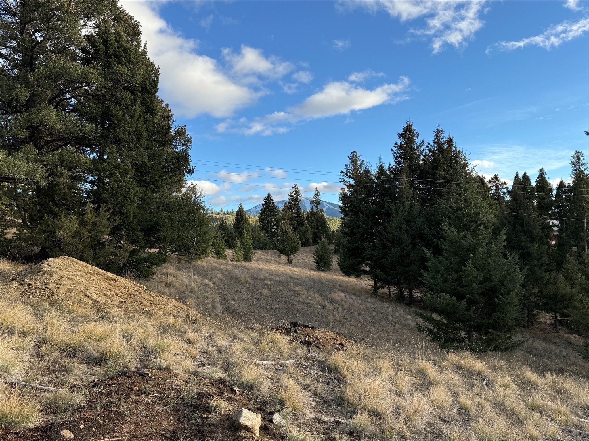 Plots and Land - Lot 3 Scranton Lode, Philipsburg, MT