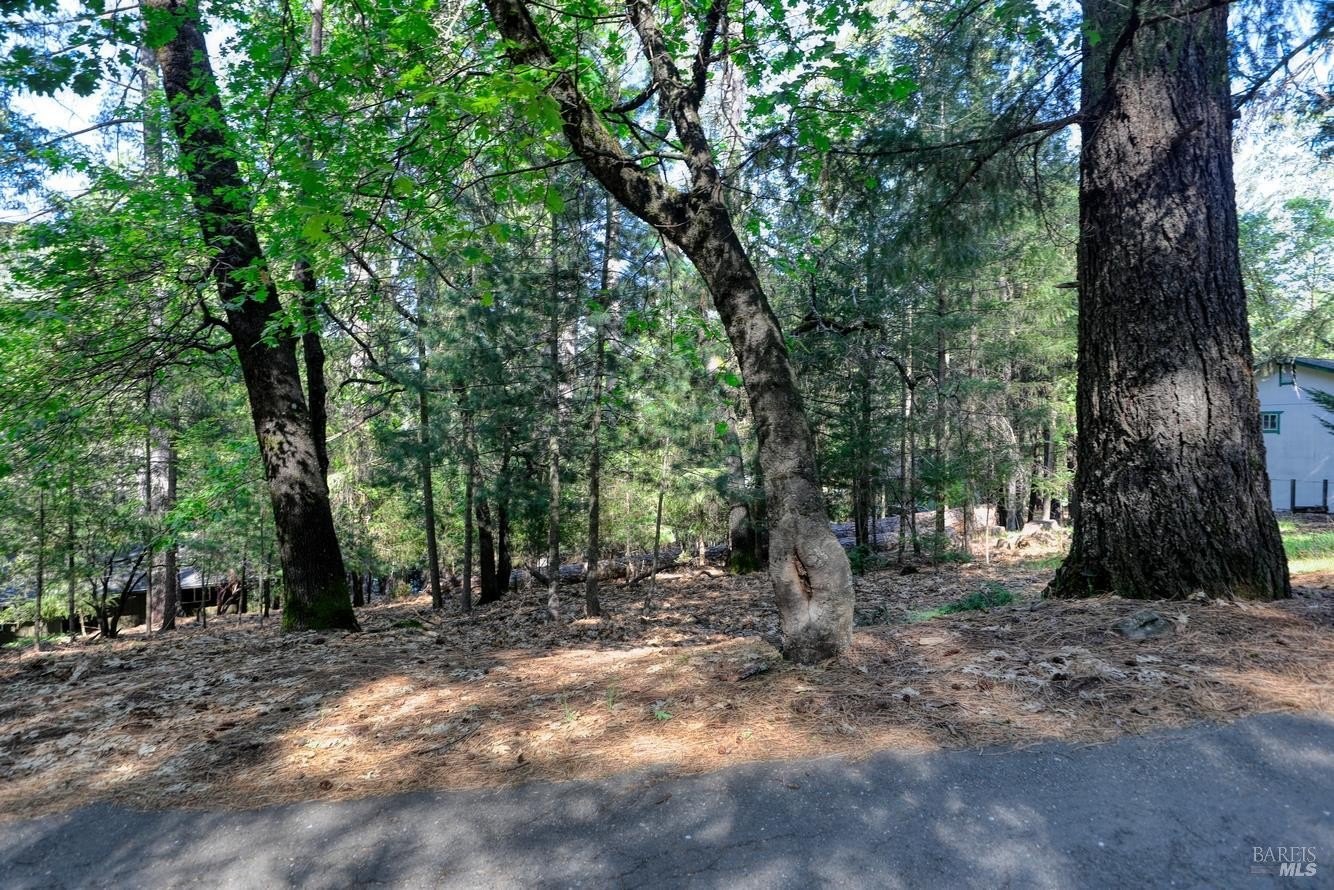 Other - 16303 Niblick Road, Cobb, CA