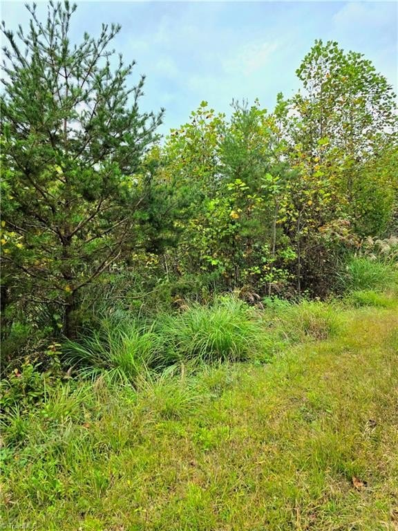 Single Family - Holly Brook Street, North Wilkesboro, NC