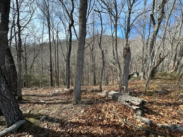 107 Point Lookout Ln  
