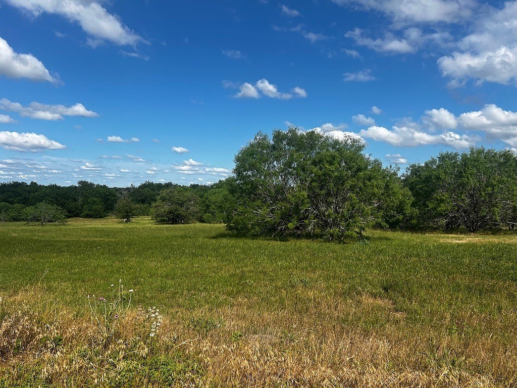 Plots and Land - Lot 5 HIGH MEADOW COURT EAST, Schulenburg, TX