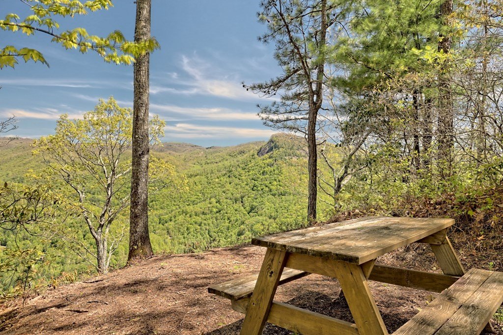 Other - 82 & 83 Waterdance Drive lot: 82, 83, Tuckasegee, NC