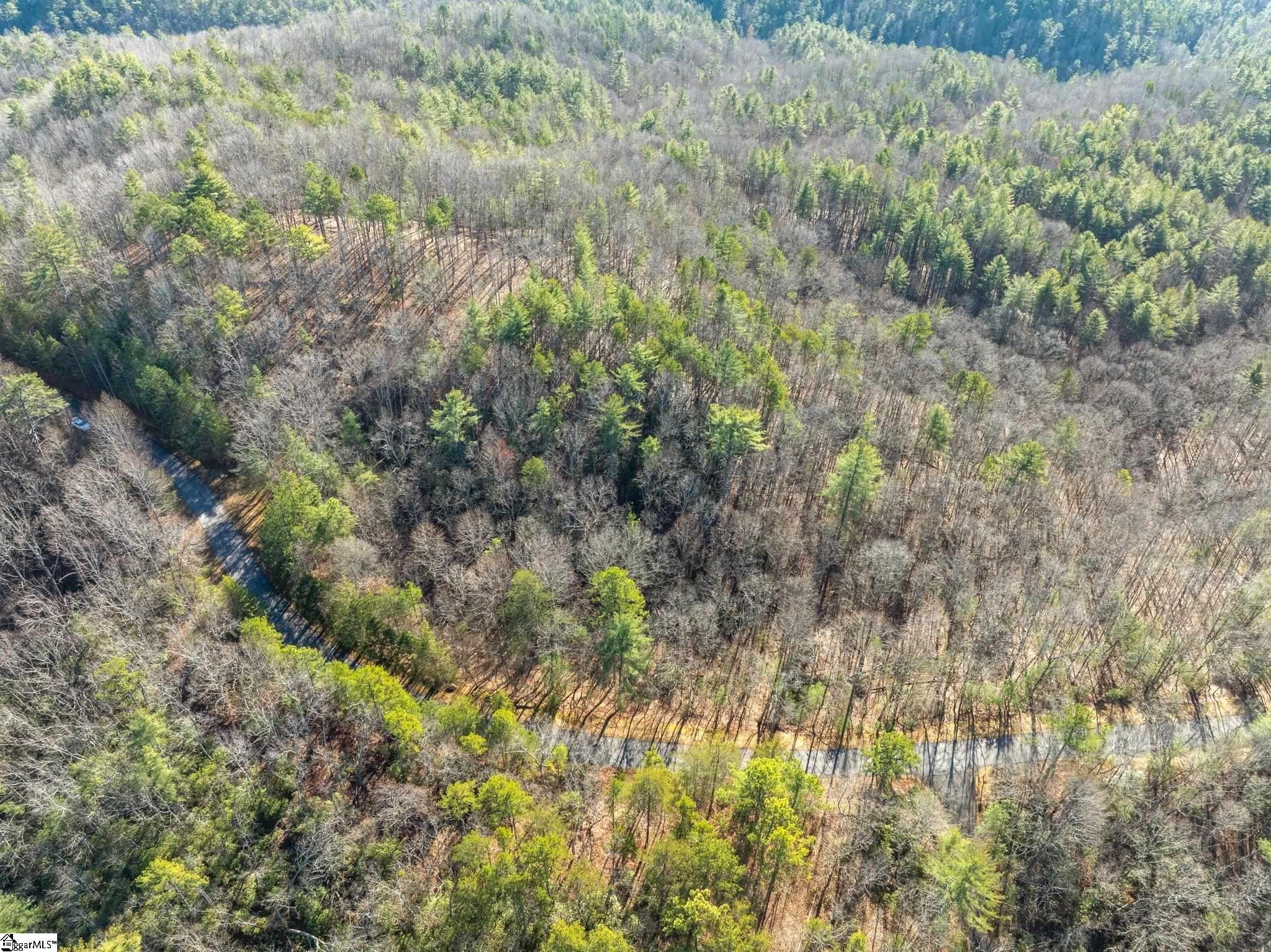 Other - 163 Eastatoe Parkway, Sunset, SC