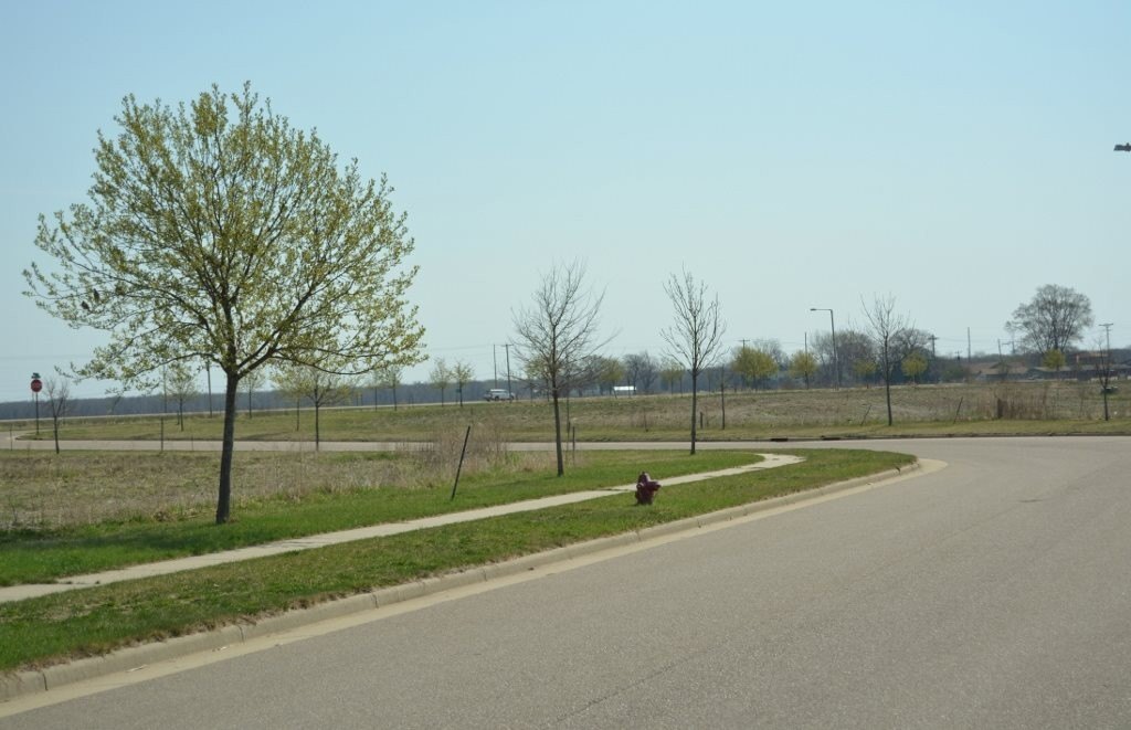 Other - L25 Spring Street lot: 25, Spring Green, WI