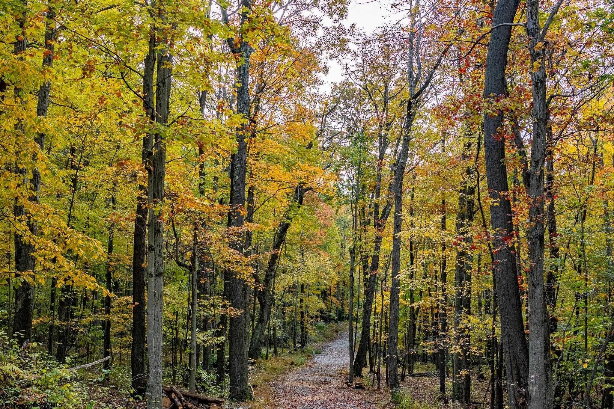 Other - Snake Hill Road lot: 21, Morgantown, WV