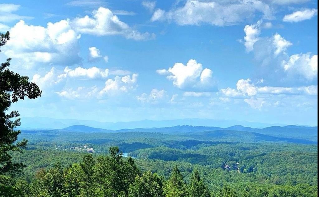 Other - Lot 251 Ridge Pointe Way, Blairsville, GA