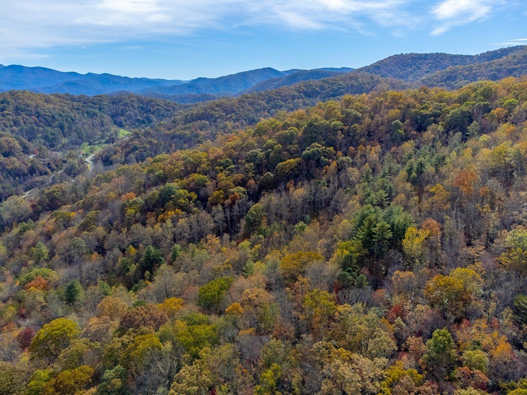 Other - Genesis Trail Dr, Sylva, NC
