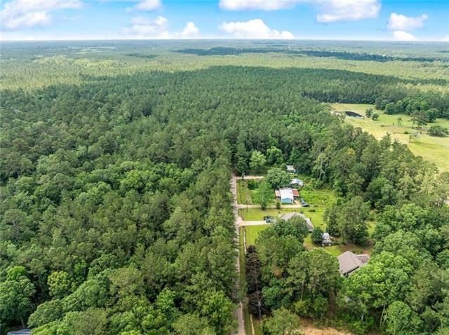 Other - HENDERSON Road lot: B-1B, Covington, LA