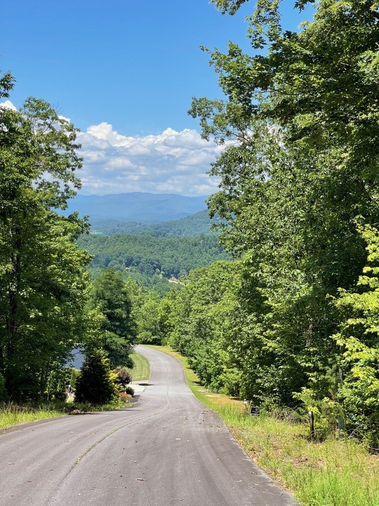Other - Lot 14 Big Cove Drive, Hiawassee, GA