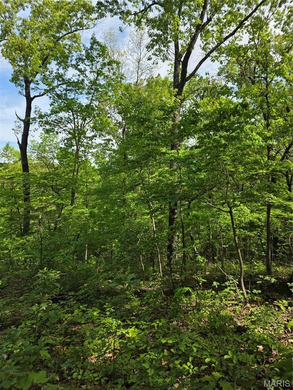 Other - Broken Circle Road, Stover, MO