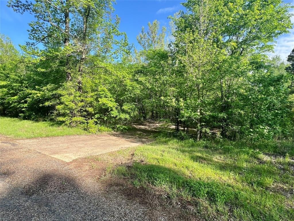 Plots and Land - 0000 FM 1402, Mount Pleasant, TX