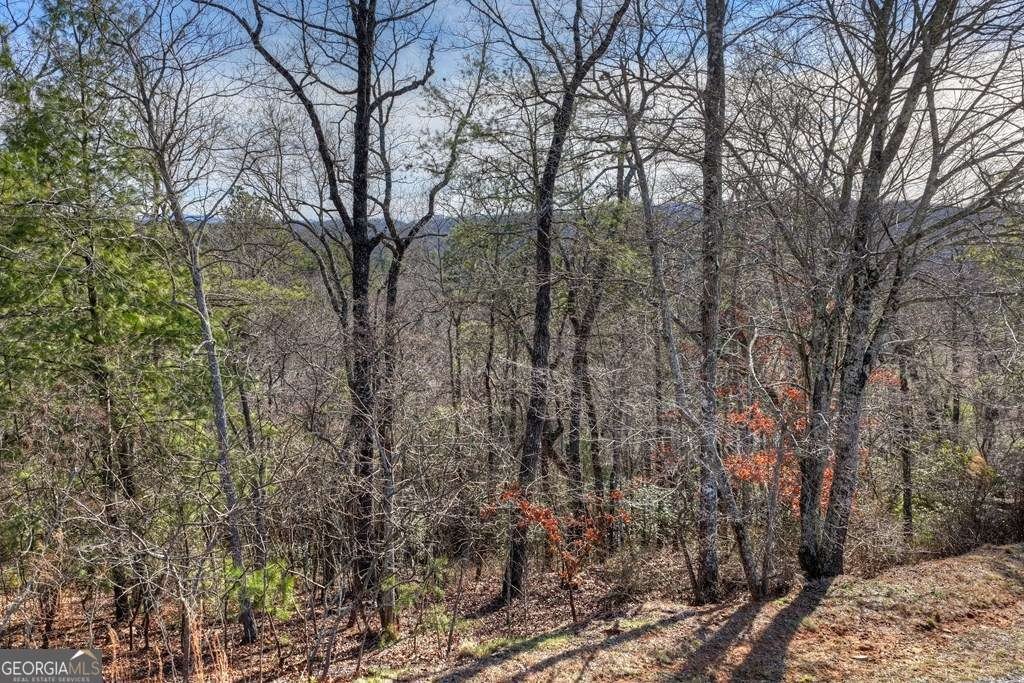 Other - 112 Fawn WAY, Mineral Bluff, GA