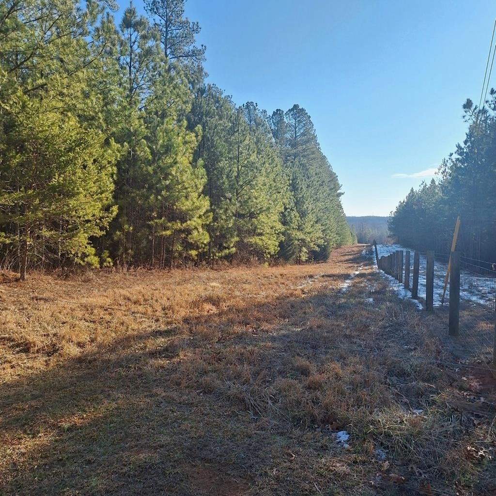 Other - Armistead Road, Nathalie, VA
