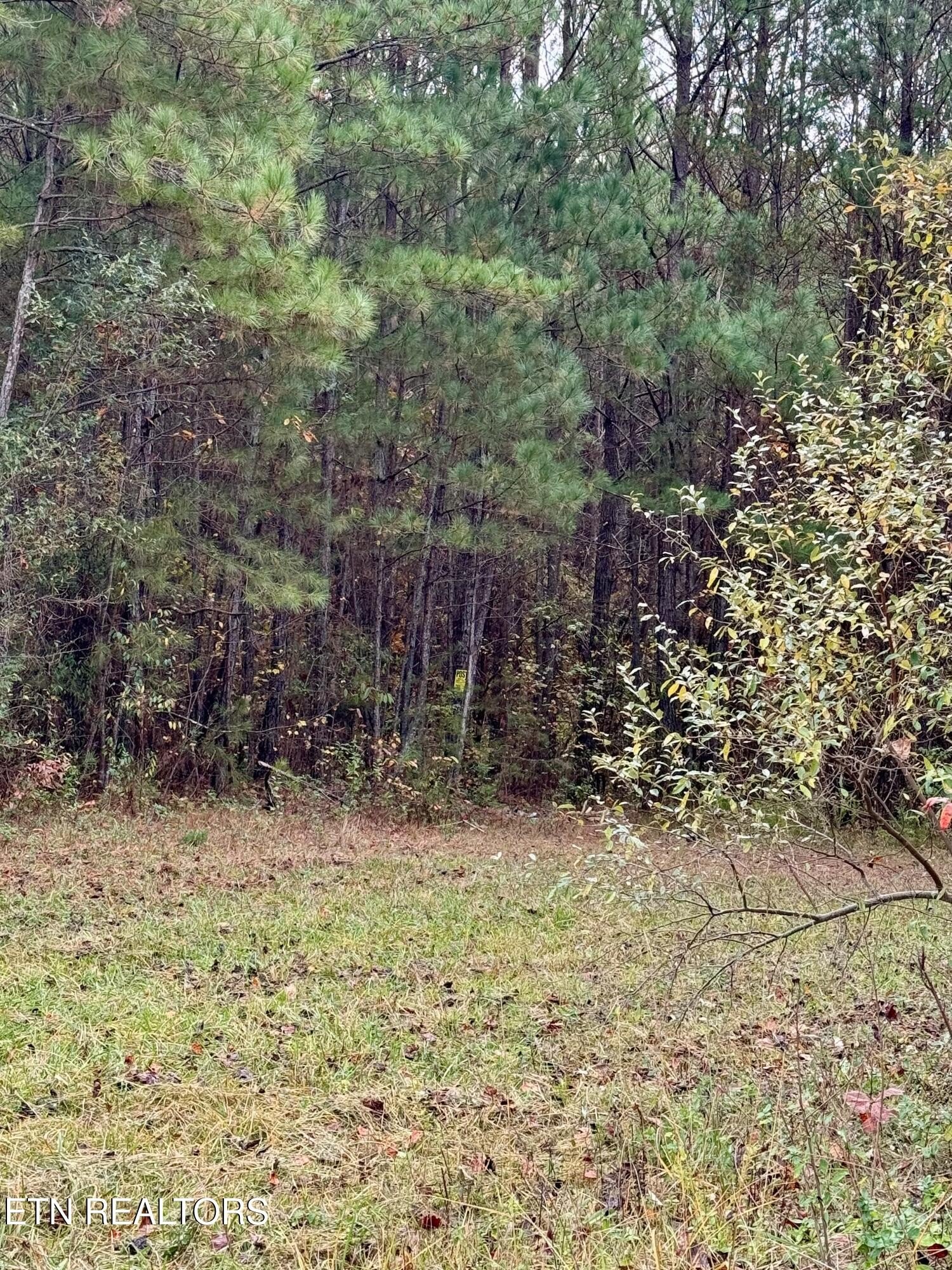 Other - Airport Rd. Lot 9, Rockwood, TN