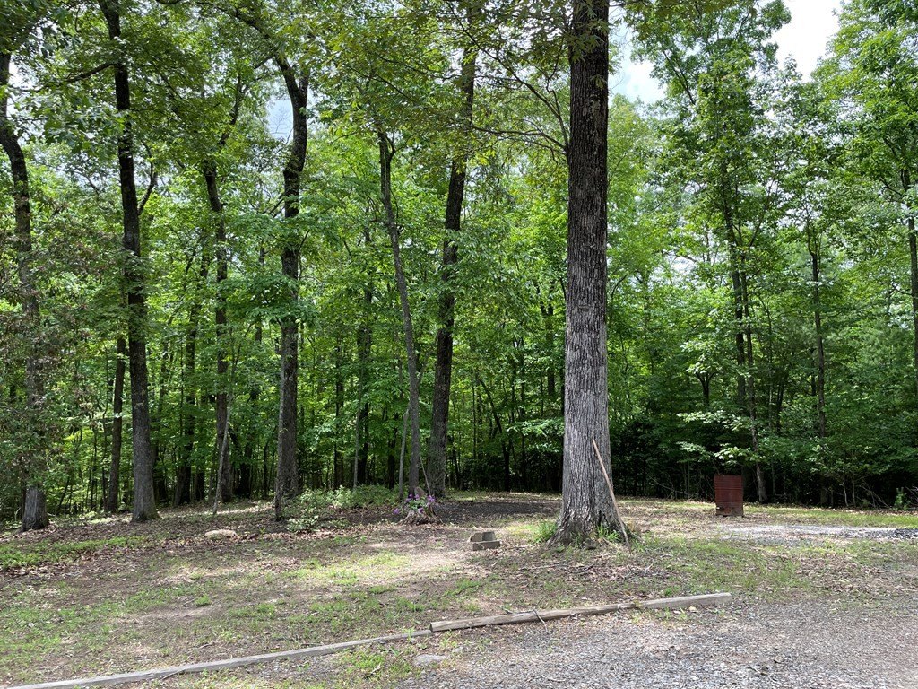Single Family 4BR 4BA - 195 Angel Creek Hollow, MINERAL BLUFF, GA