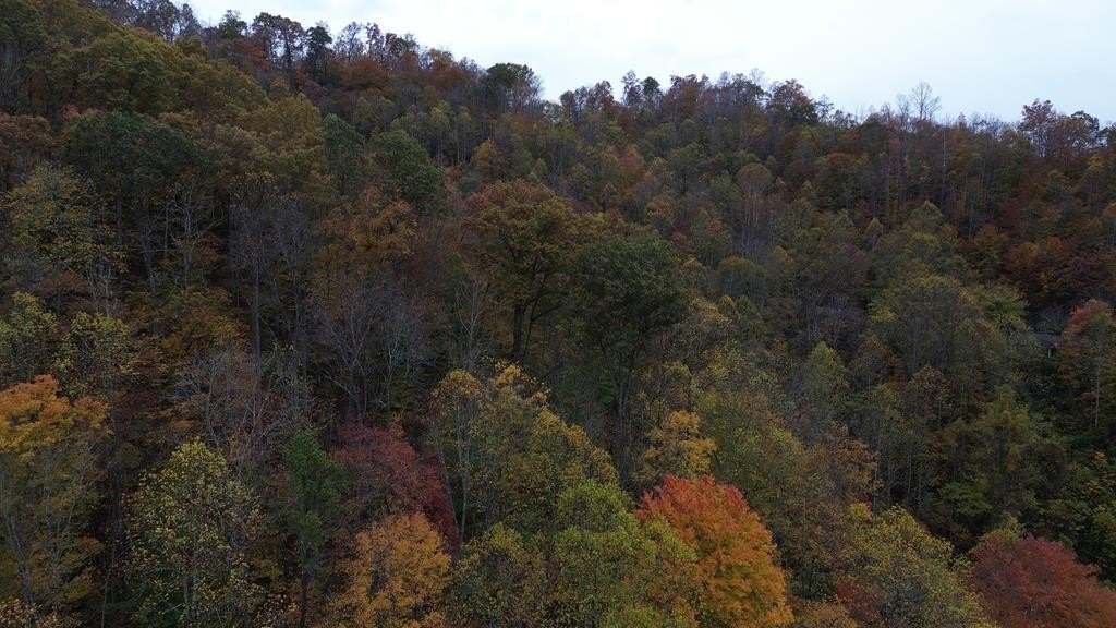 Other - 0 Roy Hill Rd., Hindman, KY