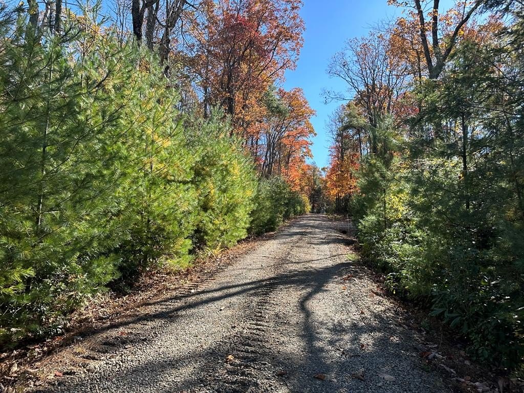 Other - 555 Evergreen Trail lot: 13, Fancy Gap, VA