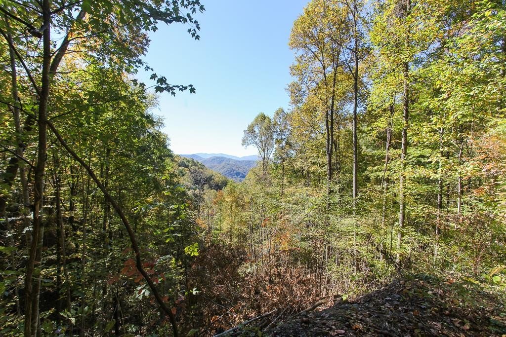 Other - Falls View Drive lot: 43, Bryson City, NC