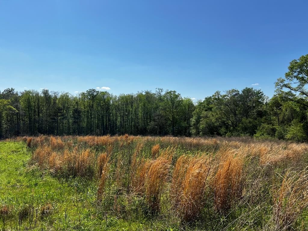 Other - 455 County Road 2213, Goshen, AL