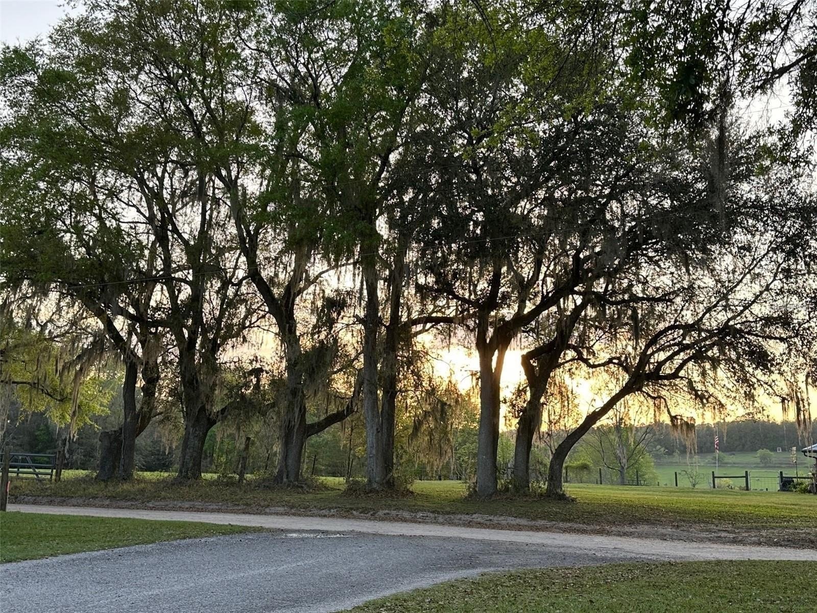 21601 Old Providence Rd  