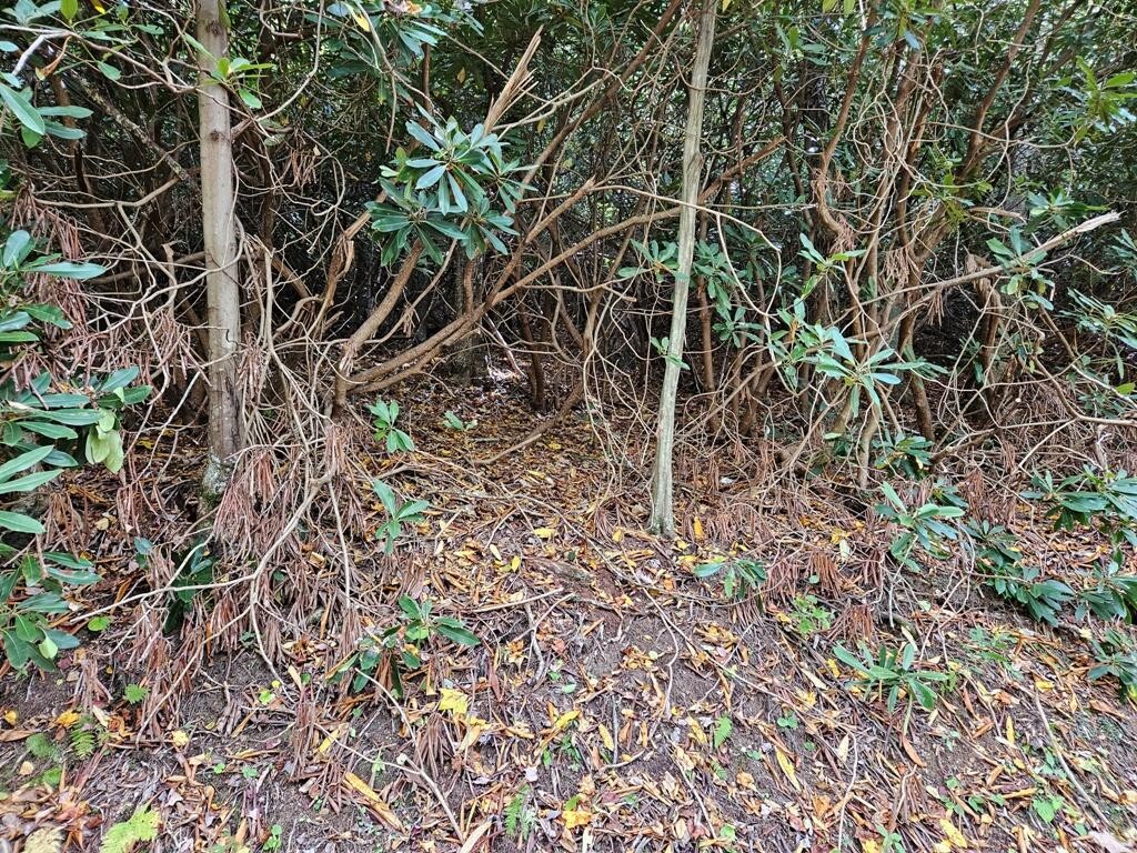 14b Lot Pennington Br Rd