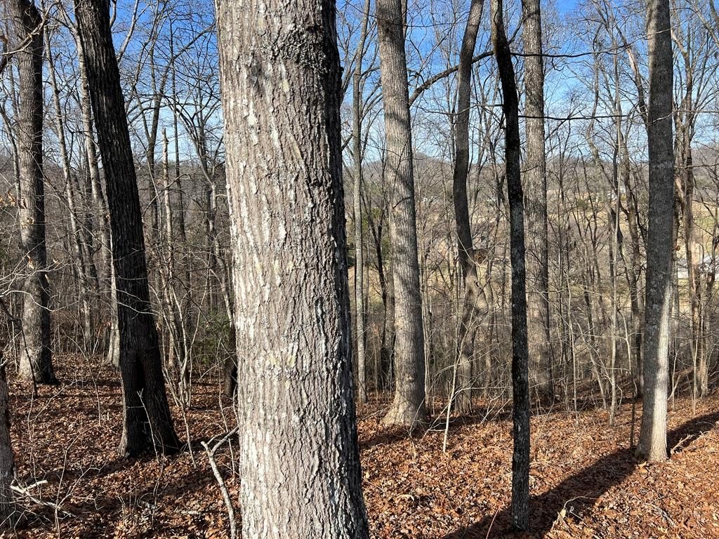 Other - Lot 77a Licklog Ridge, Hayesville, NC
