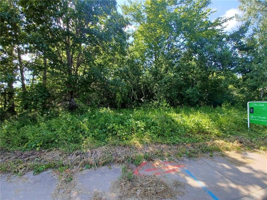 Other - 38xxx Oakview Ave, North Branch, MN