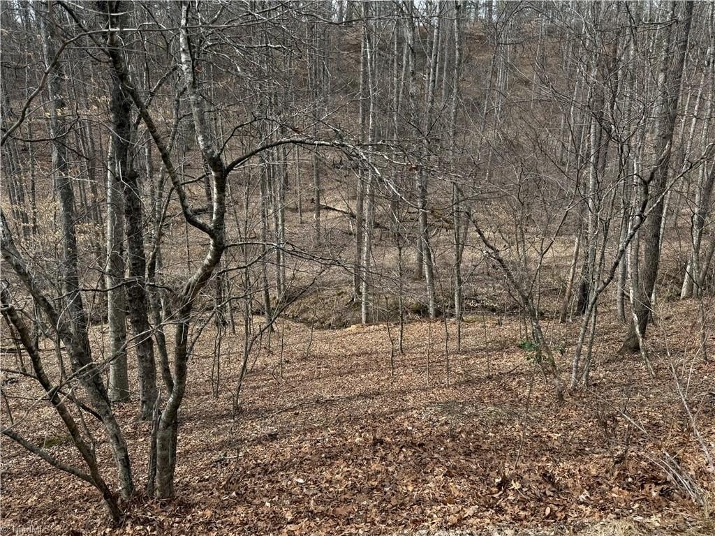 Single Family - 45 Happy Ridge Road, Piney Creek, NC