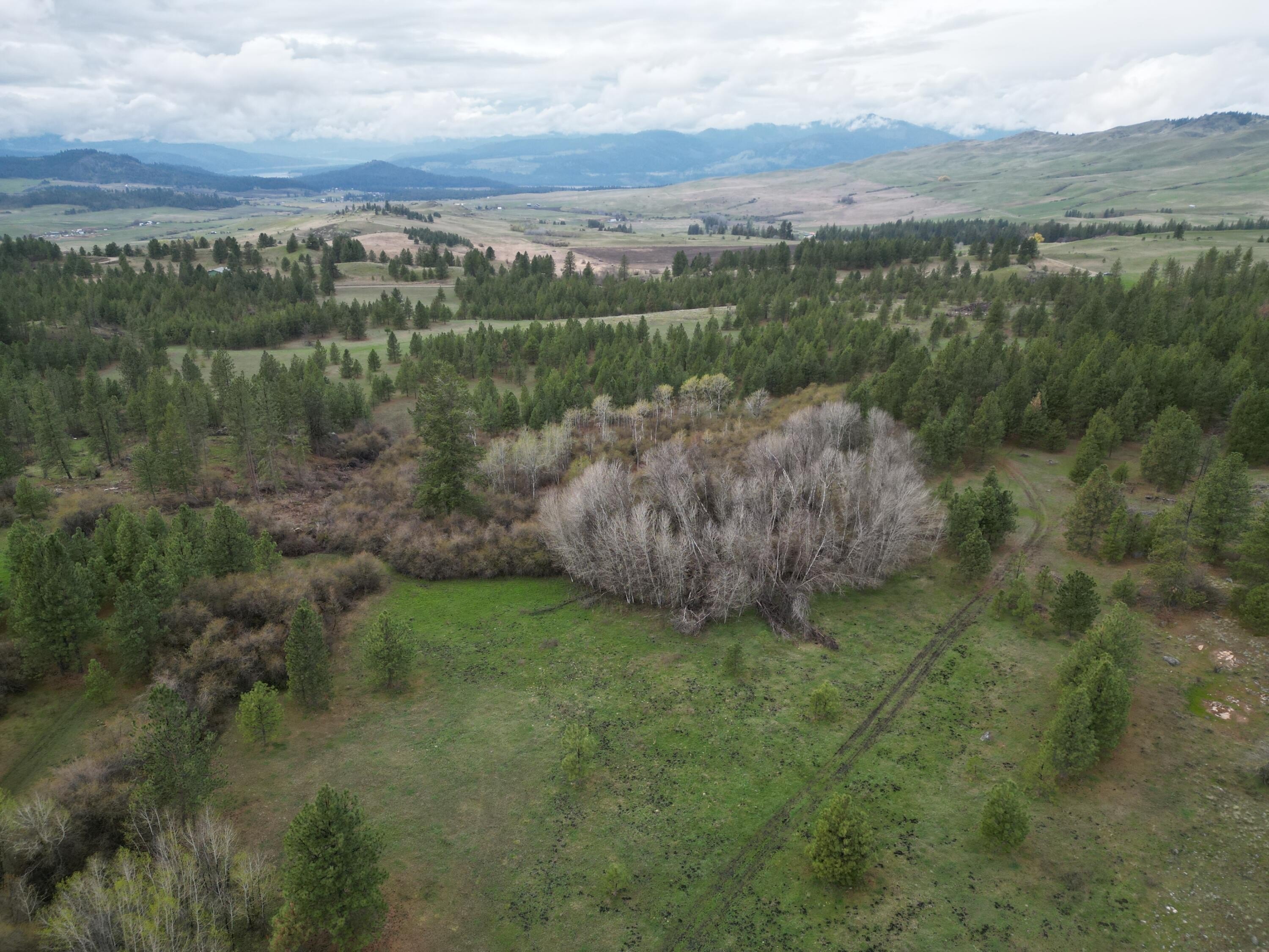 Other - 5XXX NEWBILL RD, FRUITLAND, WA