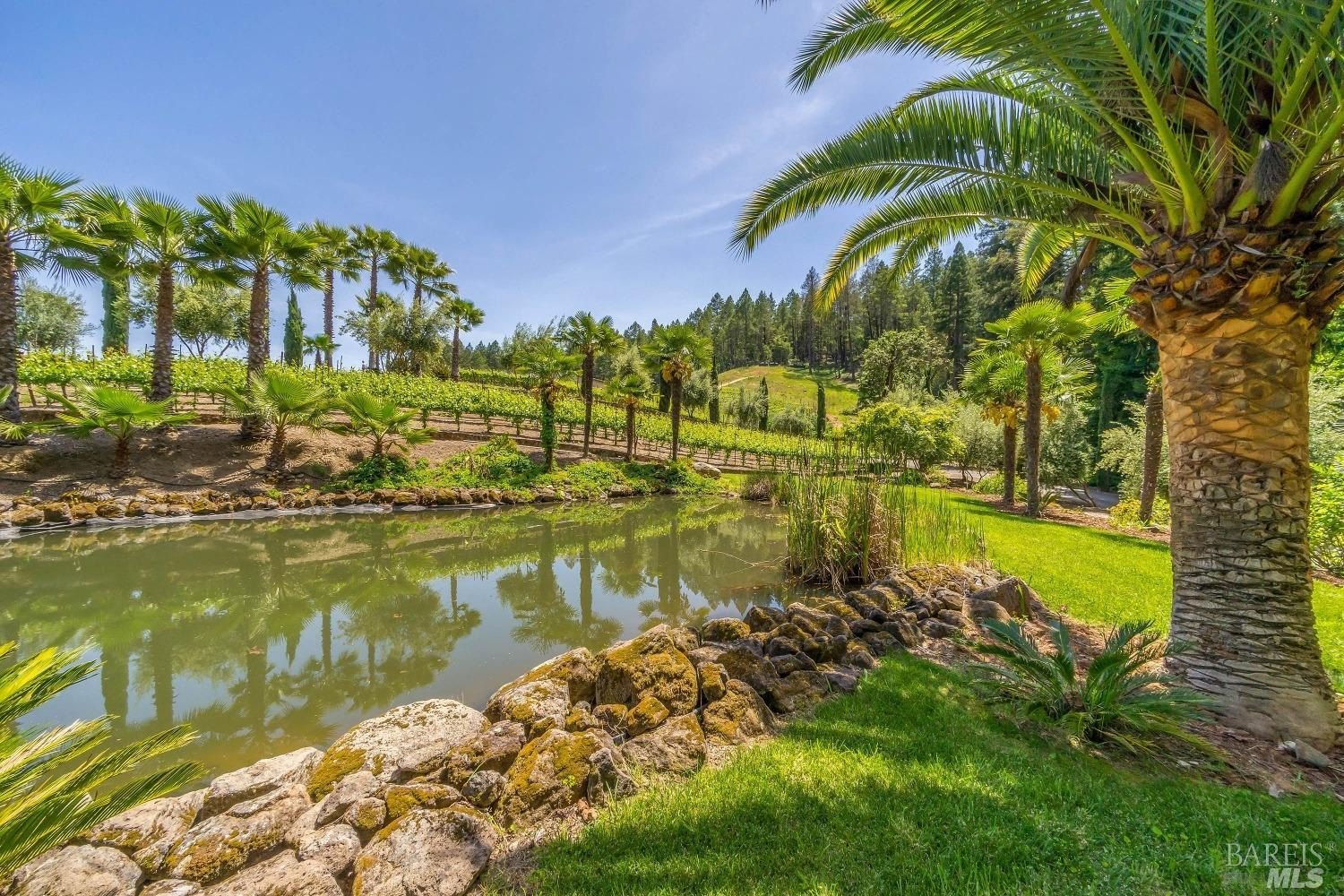 Single Family 3BR 4BA - 4447 N St. Helena Highway, Calistoga, CA