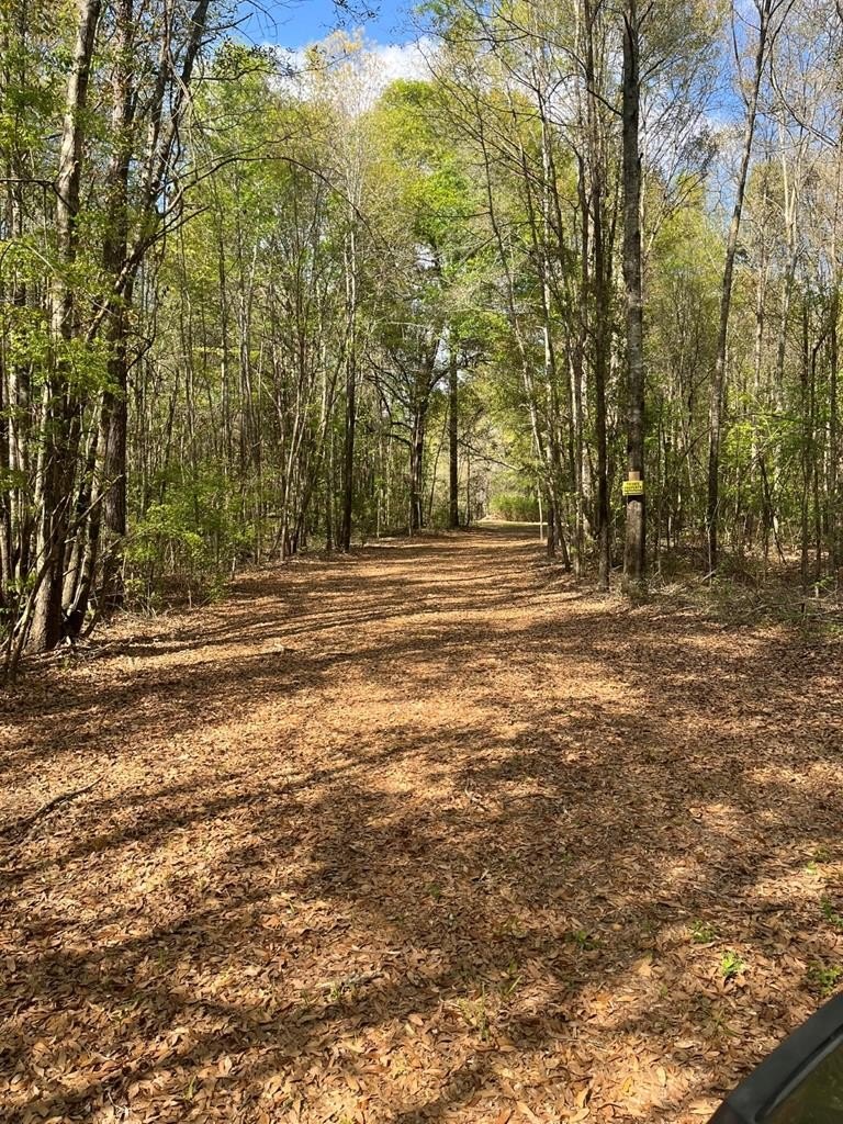 Single Family - 1162 Union Avenue, Ozark, AL