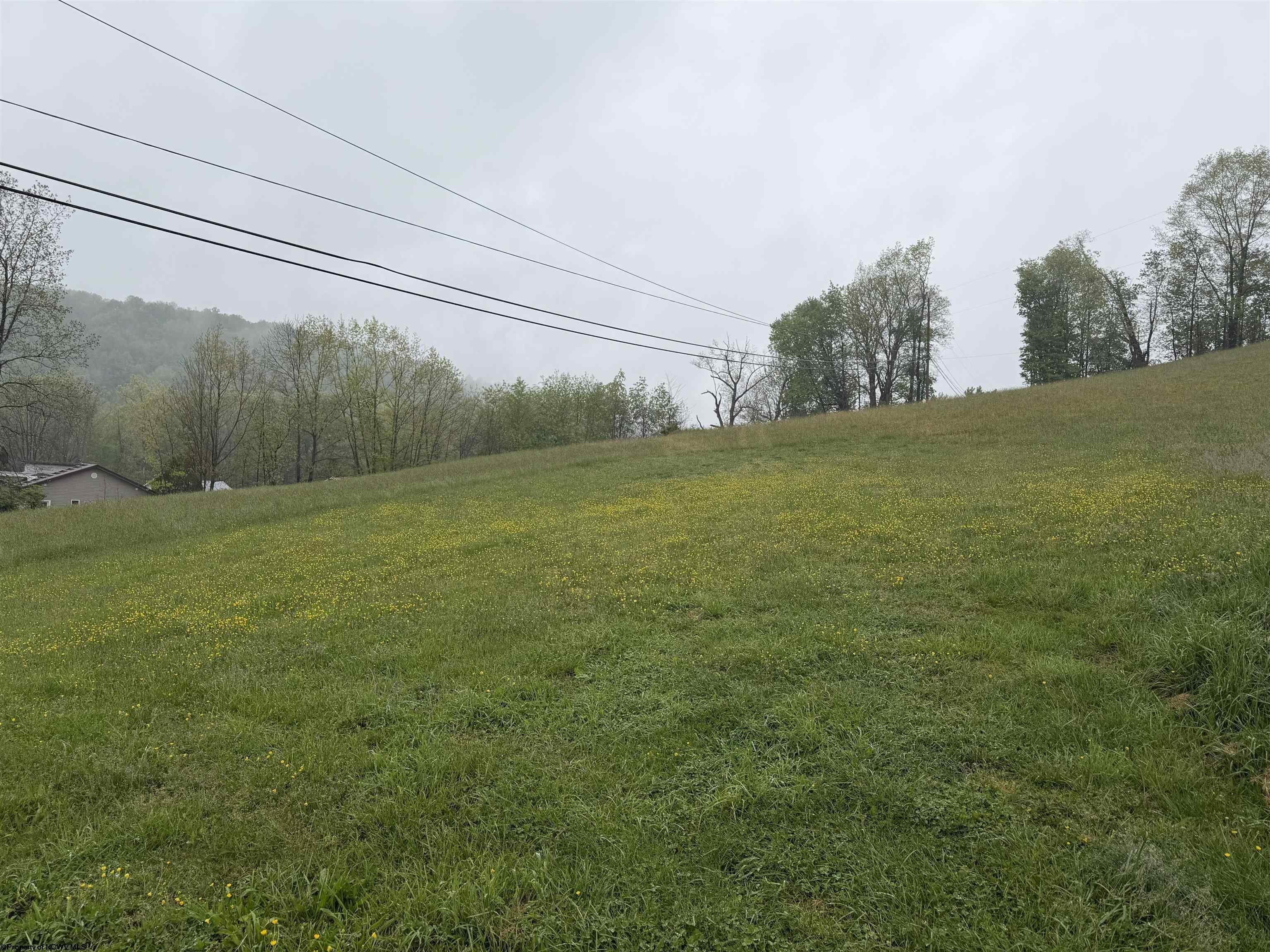Plots and Land - TBD Old Elkins Road, Buckhannon, WV