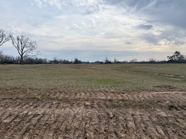 Single Family - CR 94 Lot 9, New Albany, MS