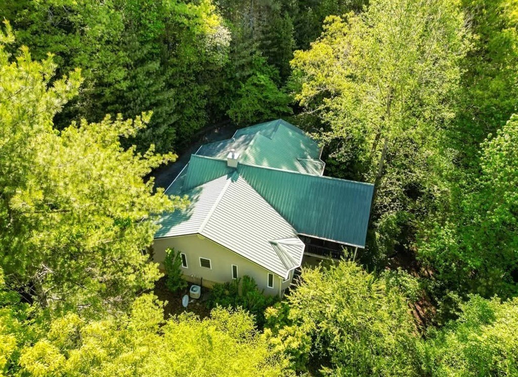 Single Family 3BR 2BA - 61 Amelia Lane, Blue Ridge, GA