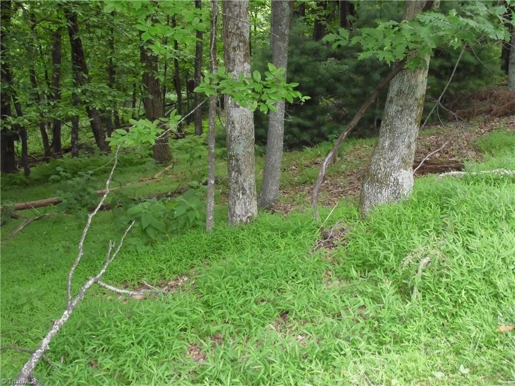Other - Longview Circle, Roaring Gap, NC