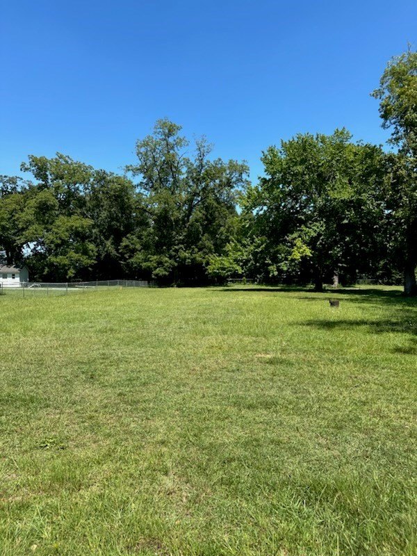 Single Family - Parcel B 4th Street, Midland City, AL