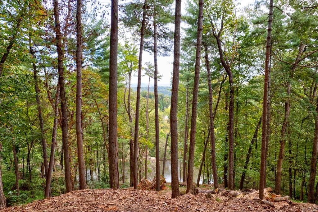 Other - Lt 102r Ponca Court, Ellijay, GA