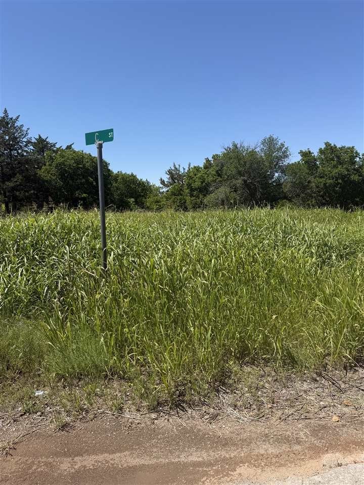 Other - 170 C Street, Faxon, OK