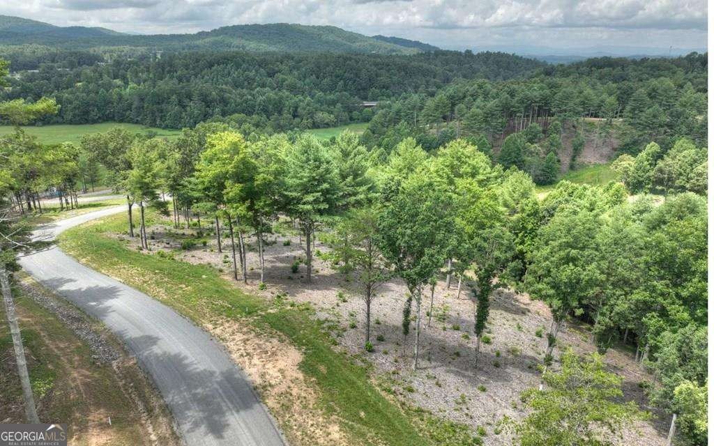 Other - LOT 222 Ridge DR, Morganton, GA