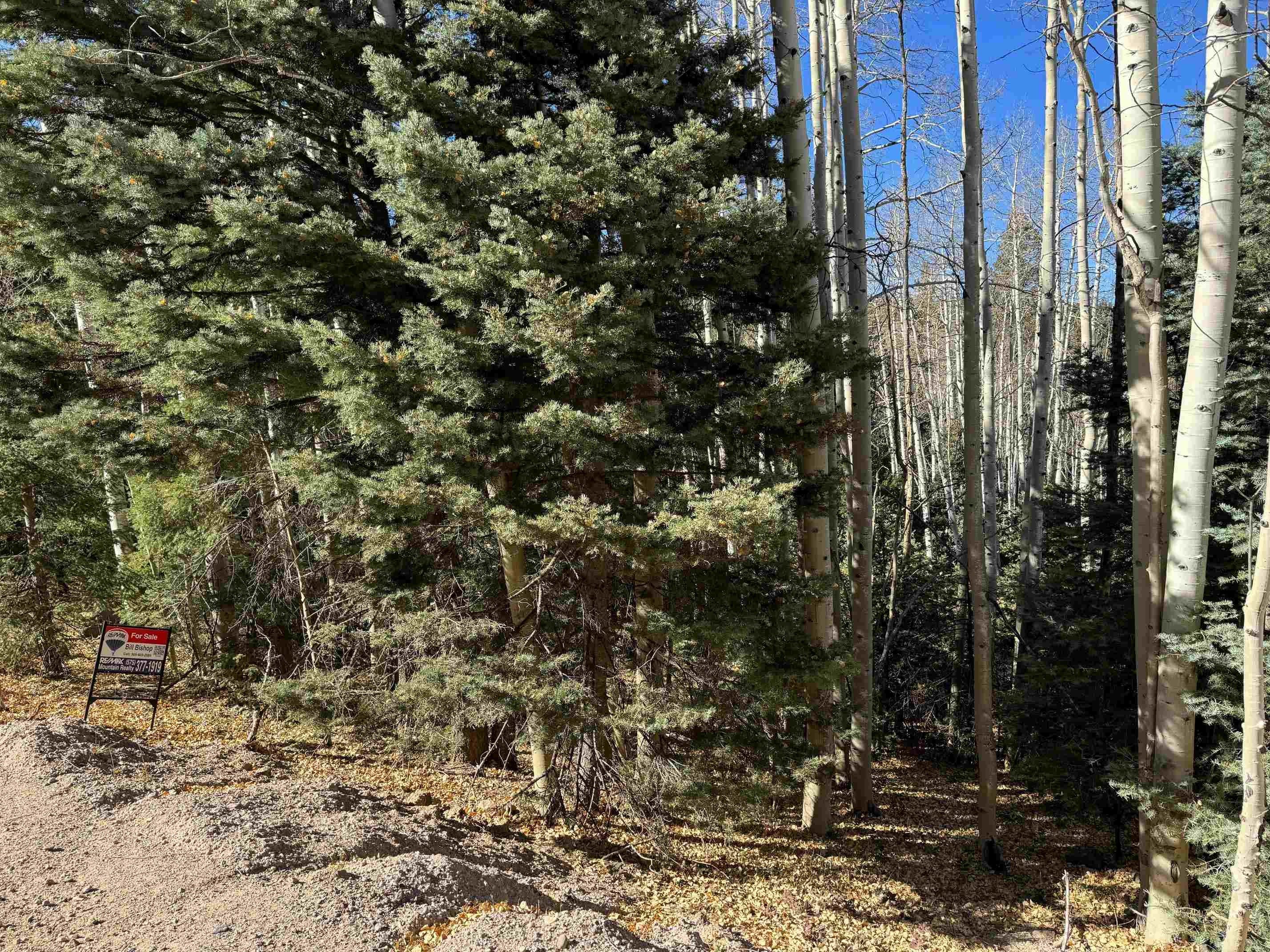 Other - Santo Domingo Trail lot: 721, Angel Fire, NM