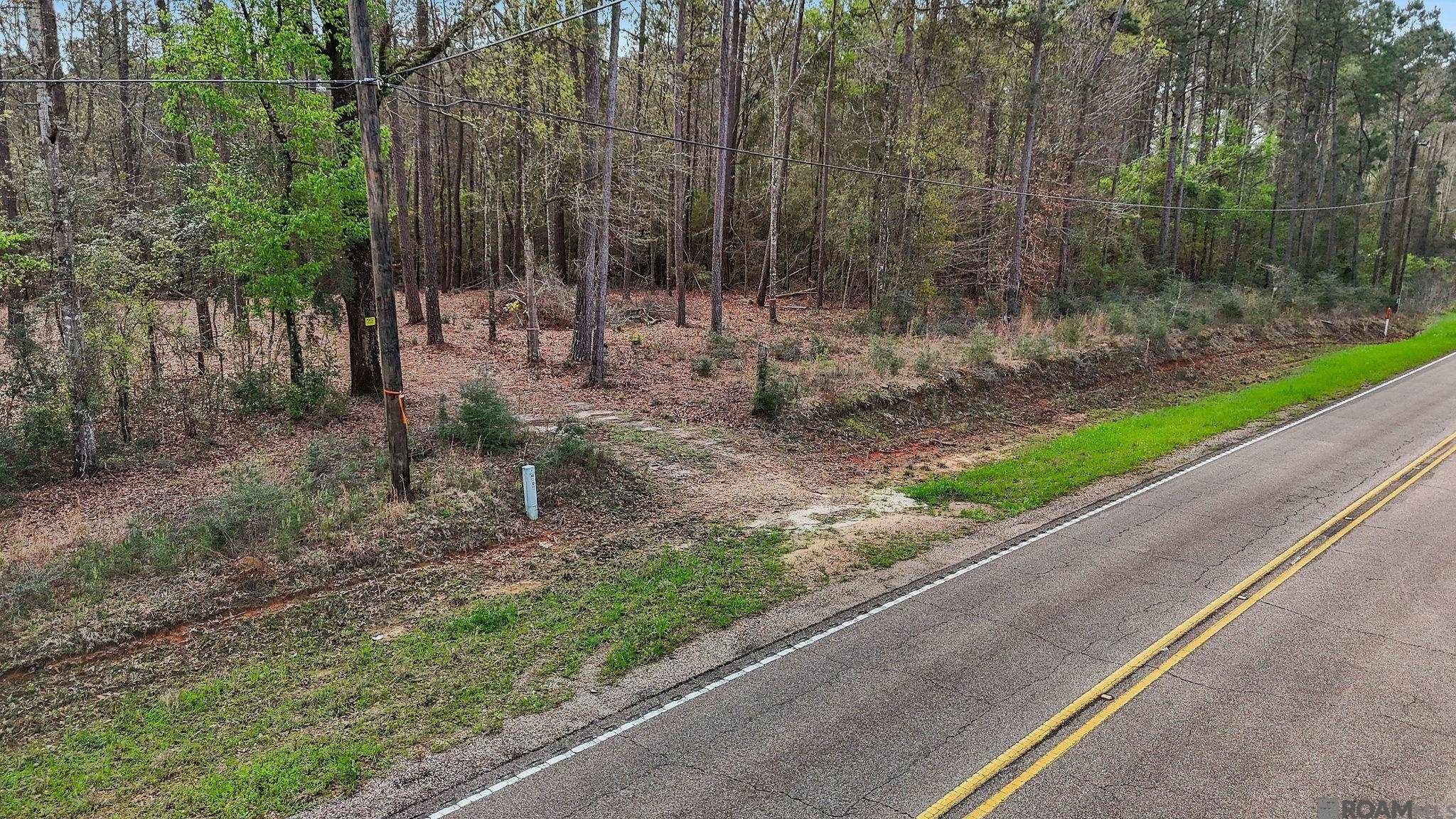 Plots and Land - 66042 La Hwy 1058, Roseland, LA