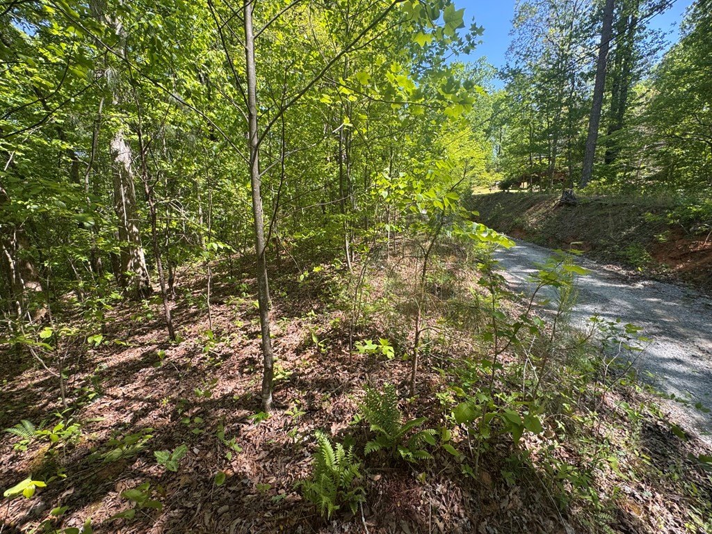 Other - 2.42 Ac Poplar Drive N, Jasper, GA