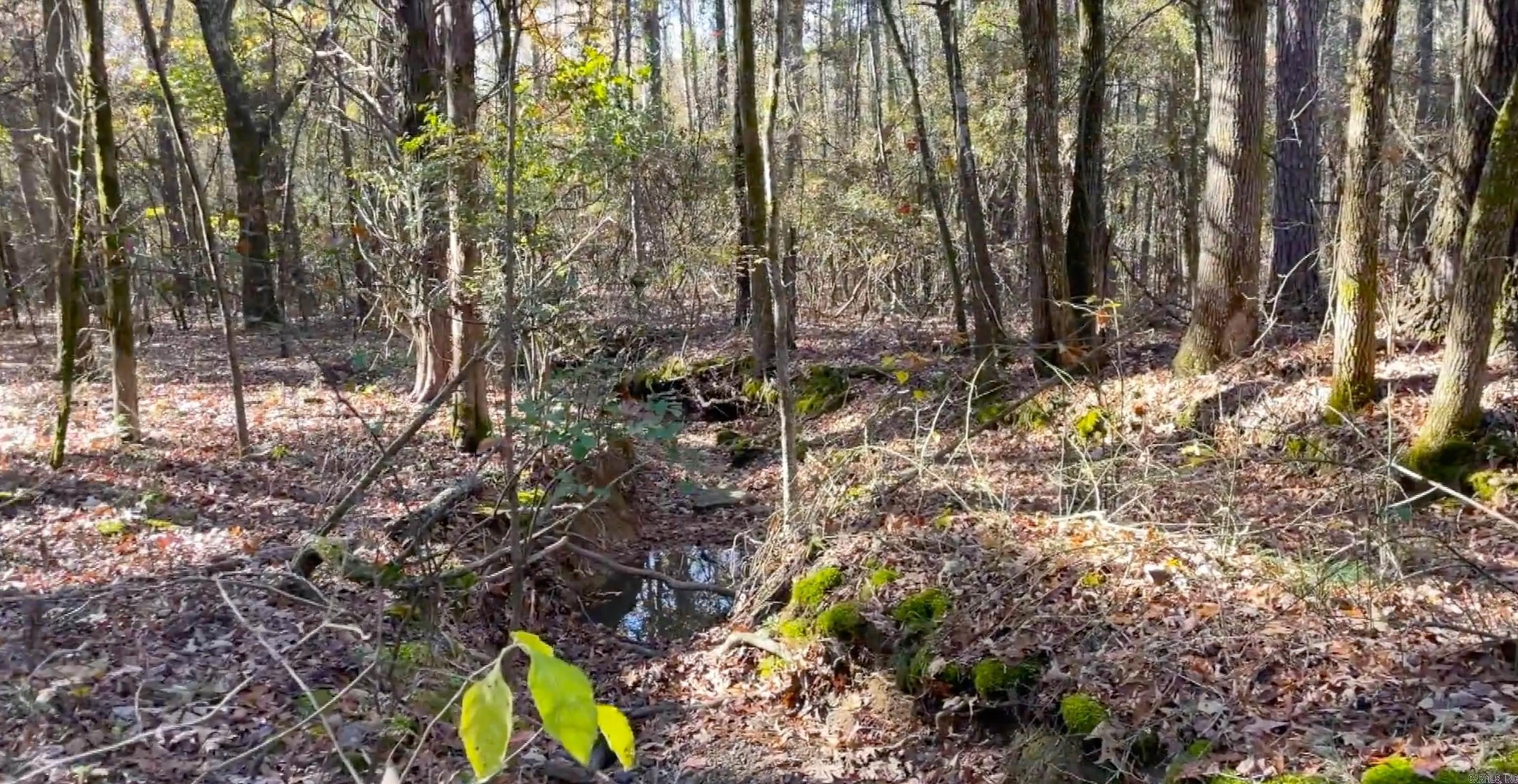 Lot 9 Shiloh Lndg Pointe  