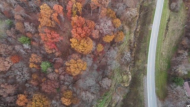 Other - SR 215, Caldwell, OH